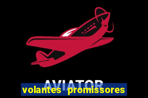 volantes promissores ea fc 24